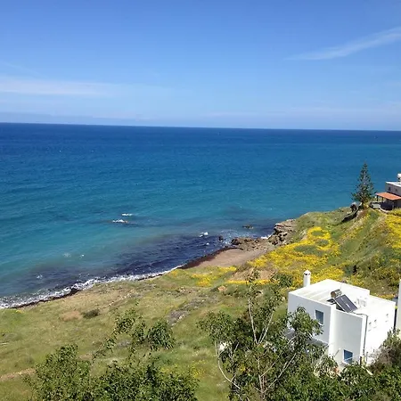 A.a Michael Pachyammos