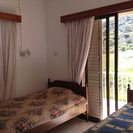 A.a Michael Pachyammos