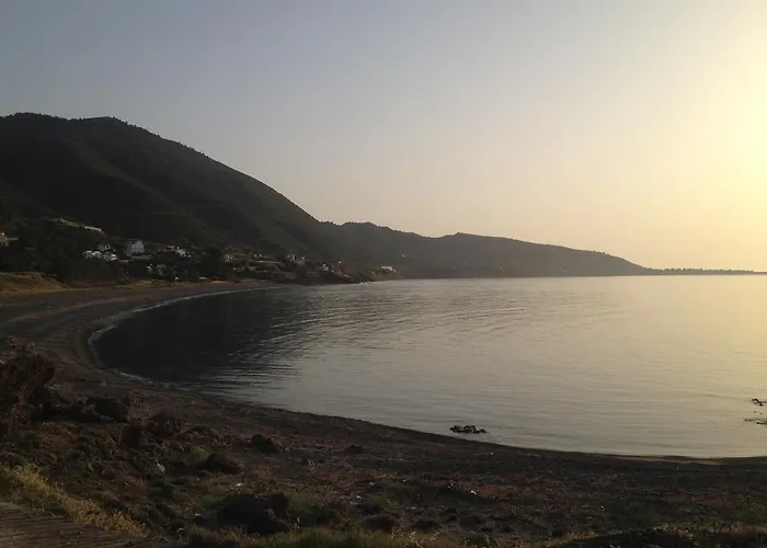 A.a Michael Pachyammos