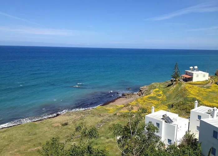 A.a Michael Pachyammos