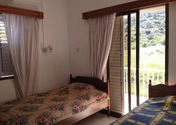 A.a Michael Pachyammos