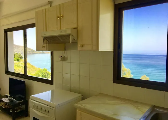 A.a Michael * Pachyammos